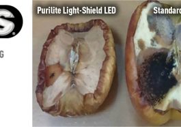 optronics purilite