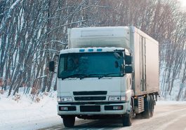 biodiesel fuel