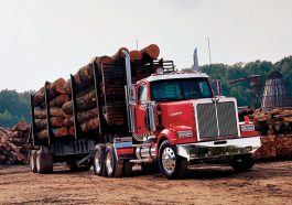 WESTERN STAR 4900